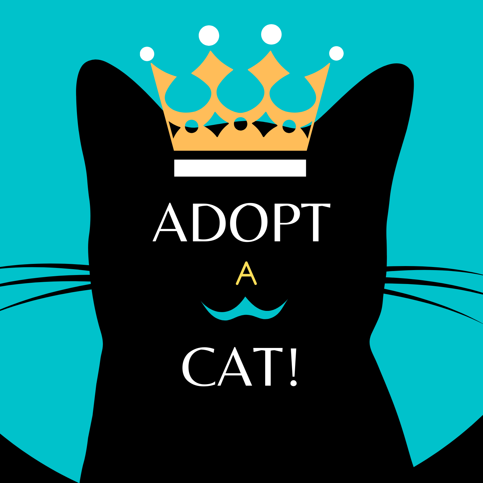 Adopt a cat - advice on how to take care of him all his life long