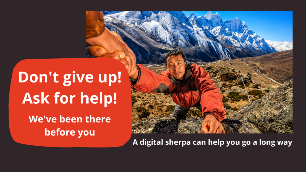 Branding work, branding agency, branding creation, branding design, social media management