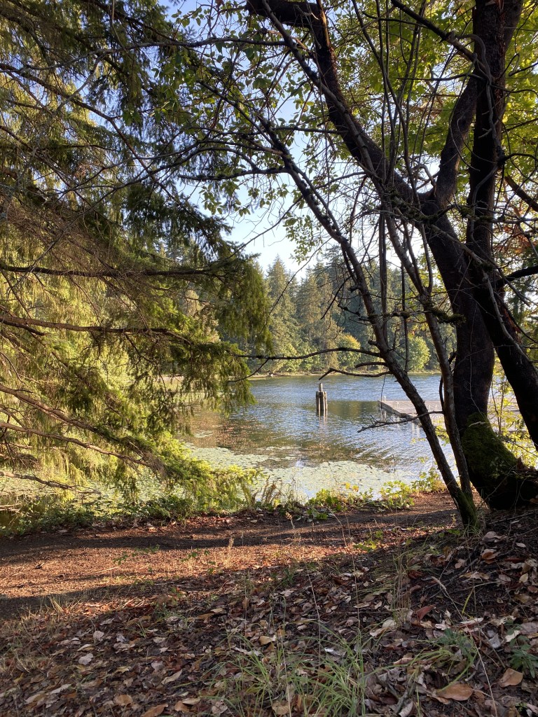 Seward Park in Seattle
