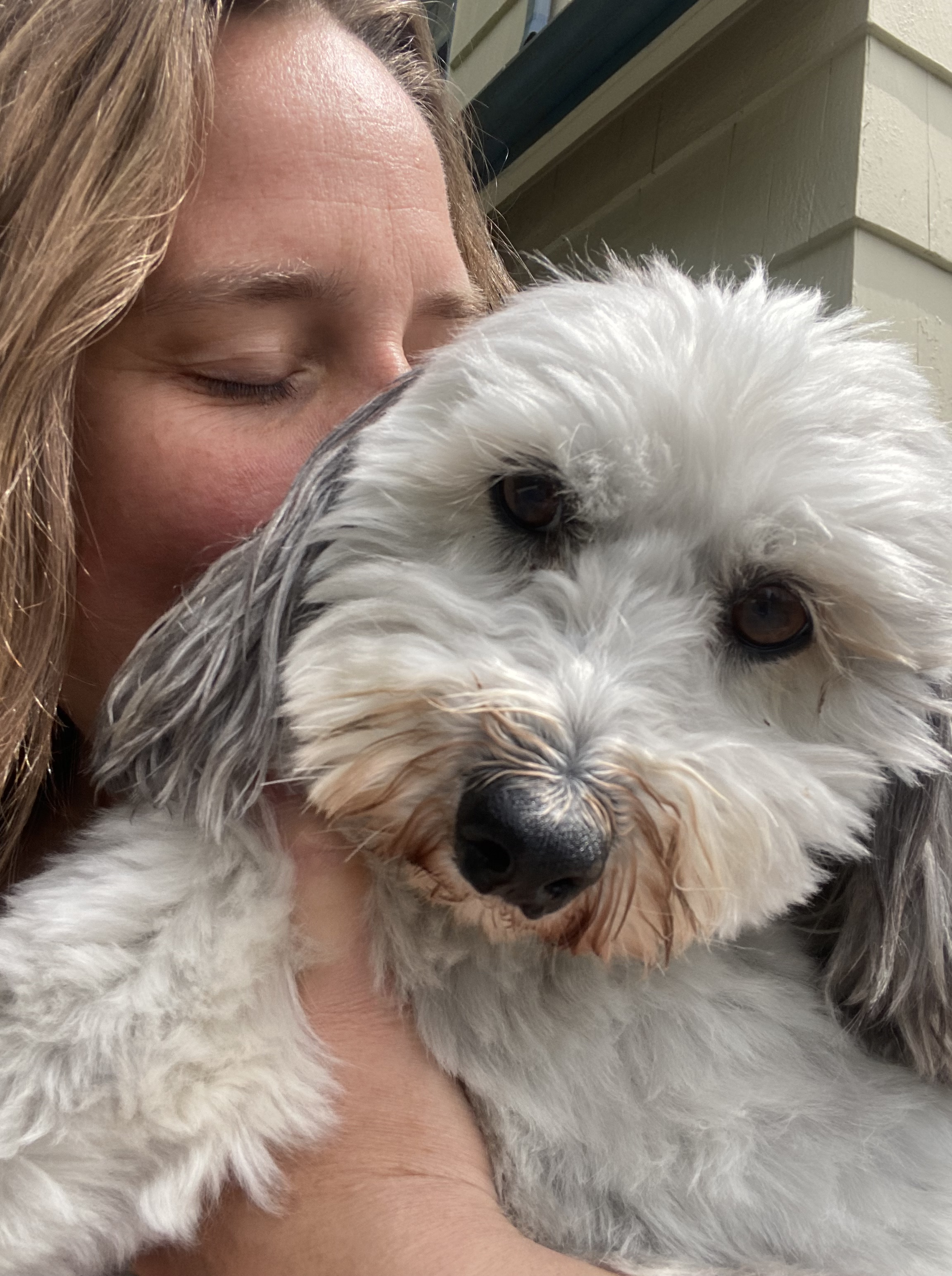 Overnight pet sitting