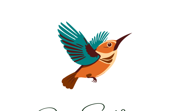 colibri positive social impact