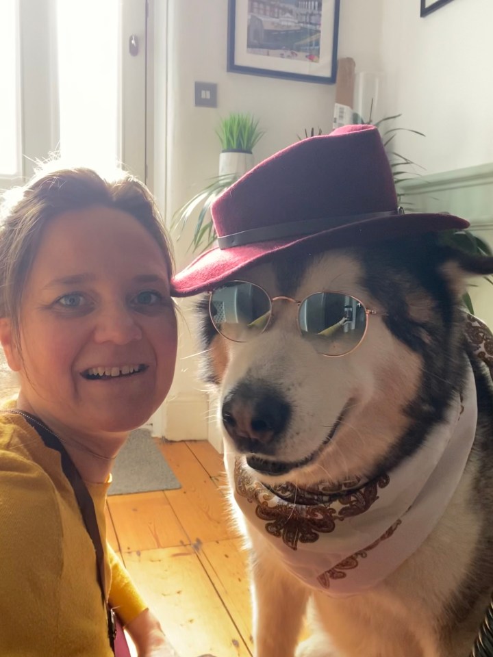 Pet sitting - pet sitter - travel pet sitters - in home pet sitters - leaving your pets at home while traveling