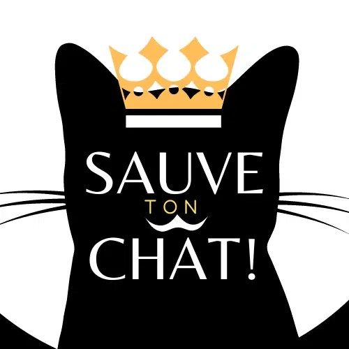 Sauve ton Chat est une série de vidéos et de ebooks qui fournissent des informations précieuses pour améliorer votre compréhension des chats en profondeur.