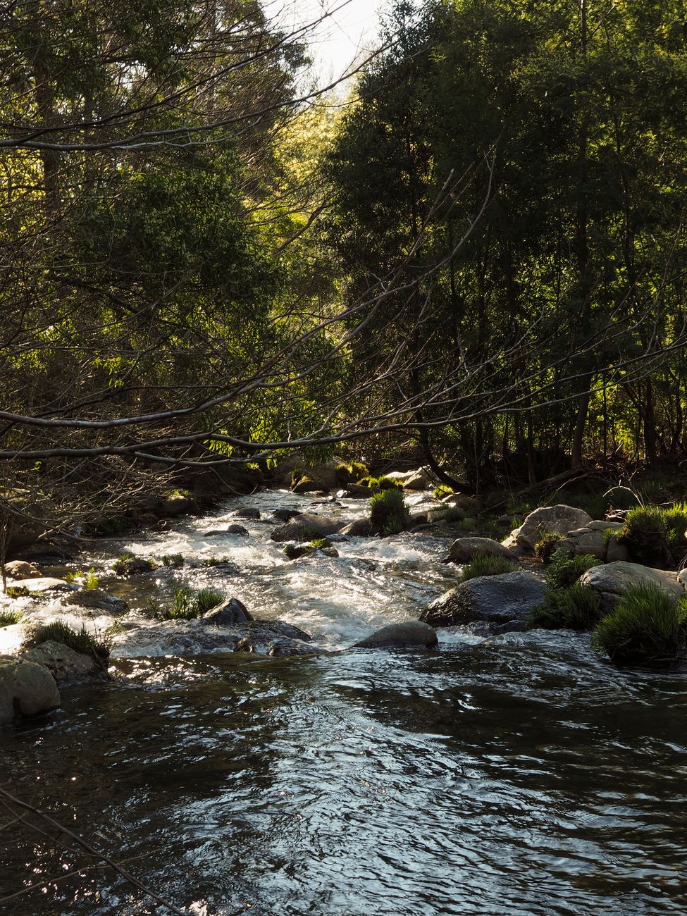 River - rocks - rivers are healing - feminine energy - femininity