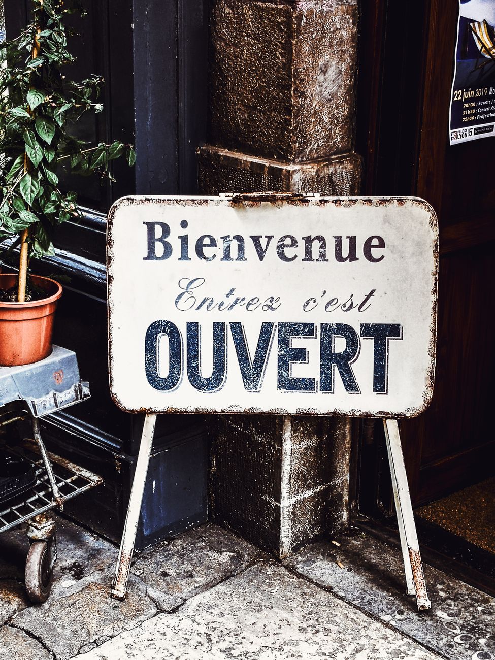 Learn French with a native French tutor
